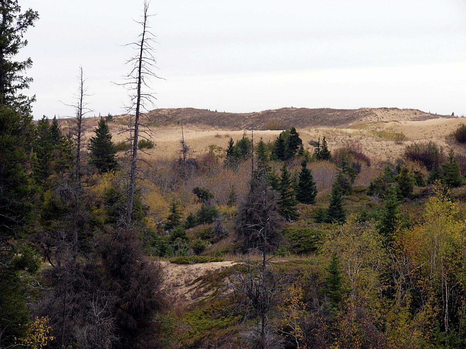 20 - Dunes