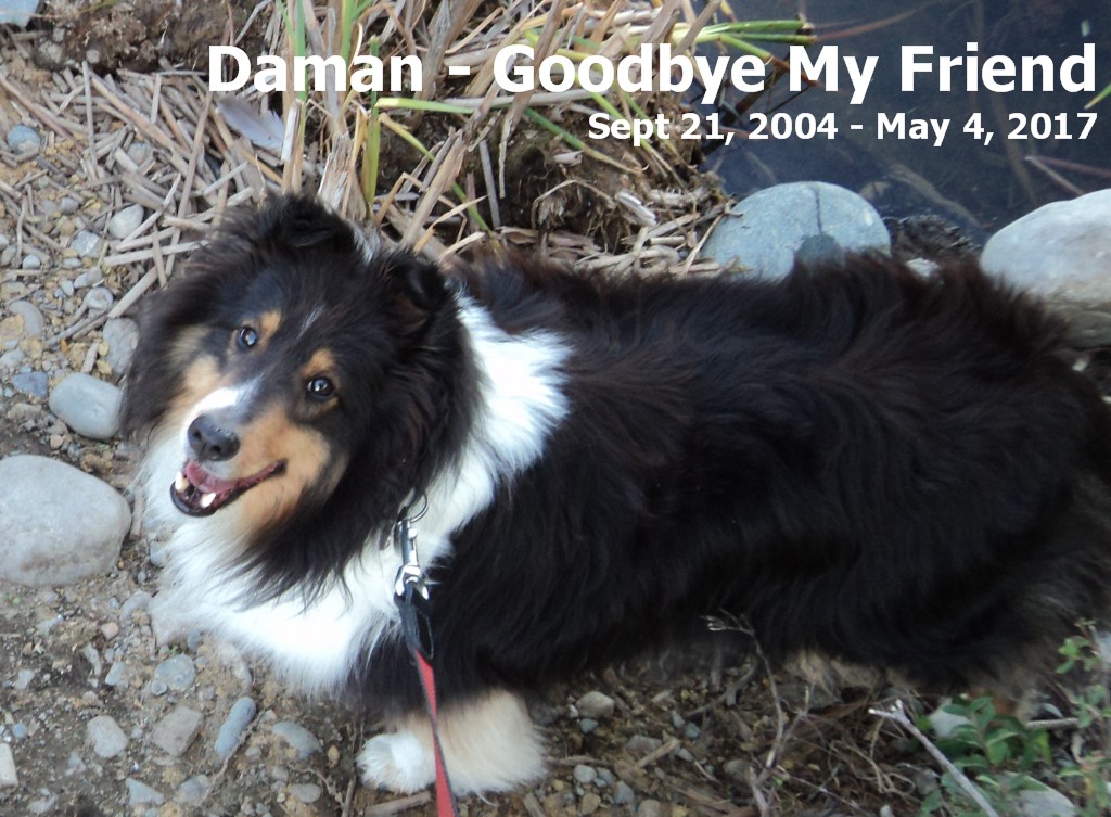Daman announcement