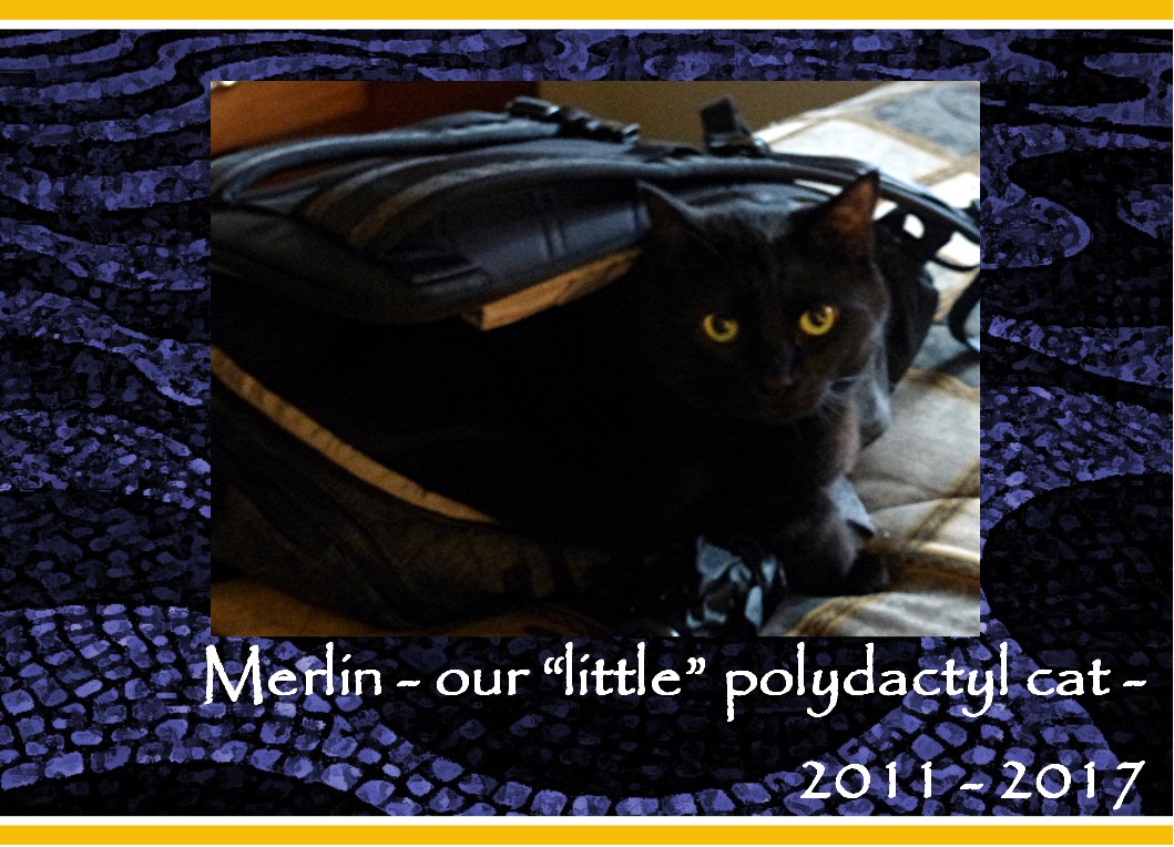 Merlin announcement